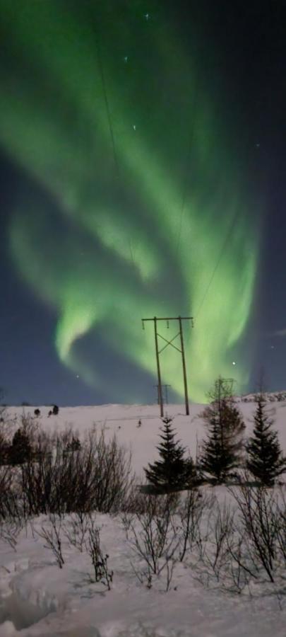 Gljufurbustathir Holiday Homes Hveragerdi Eksteriør bilde